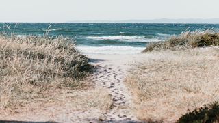 Beach sand Nordic