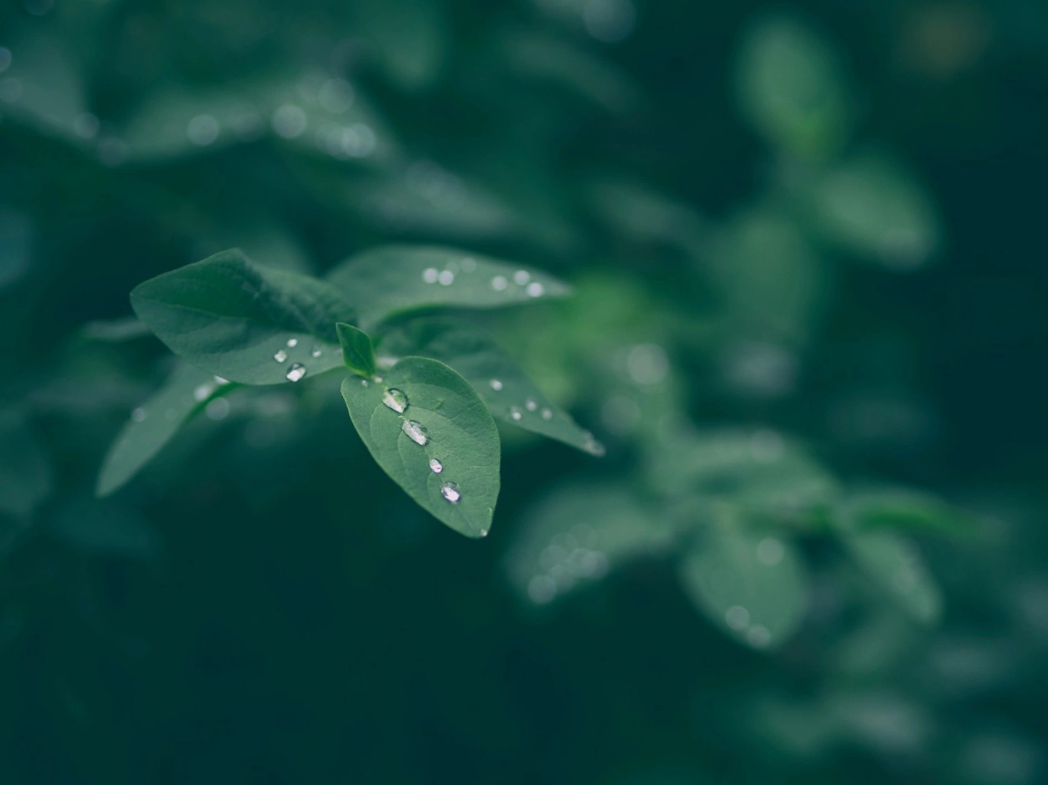 Aaron burden i M Vz DF Ny AUY unsplash s