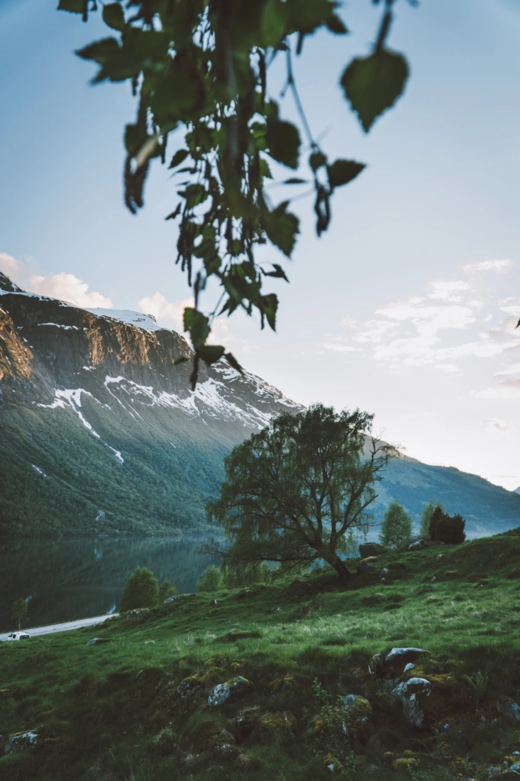 Knut troim U Obgtx Vnet U unsplash