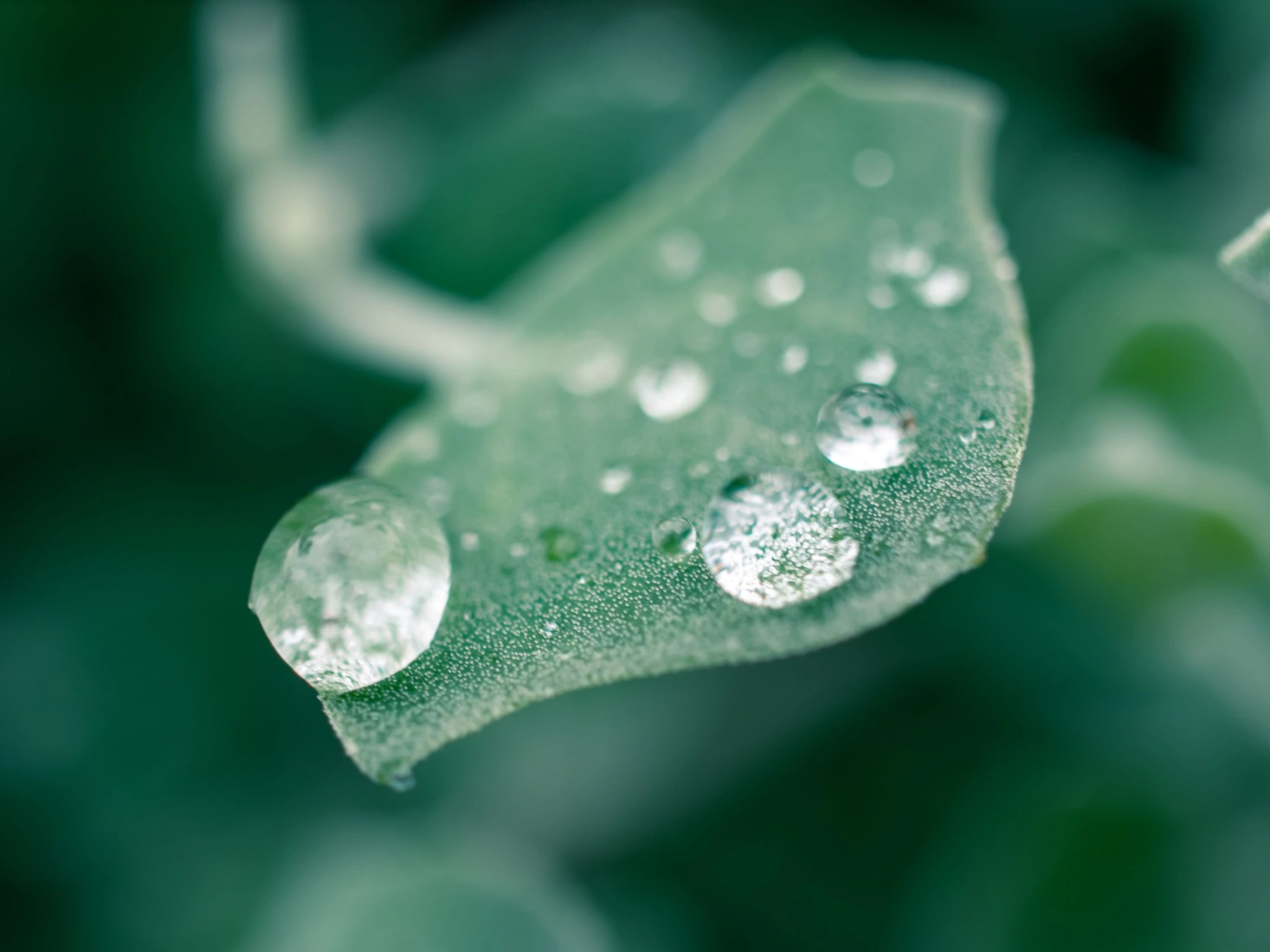 Sonny sixteen u GM5 ICZ Zb Q unsplash